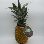 PINYA EXTRASWEET