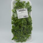 MENTA FRESCA