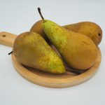 Pera Conference (petita)