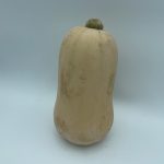 CARBASSA