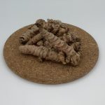 CURCUMA