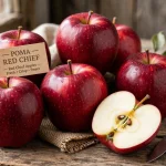 POMA RED CHIEF