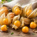 PHYSALIS