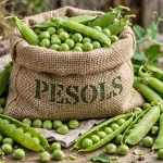 PESOLS